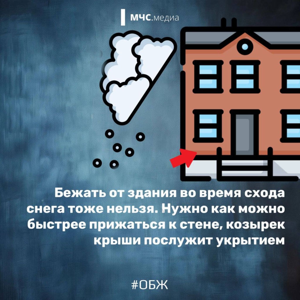722853ed-7101-4288-971d-efedb03167a2.jpg