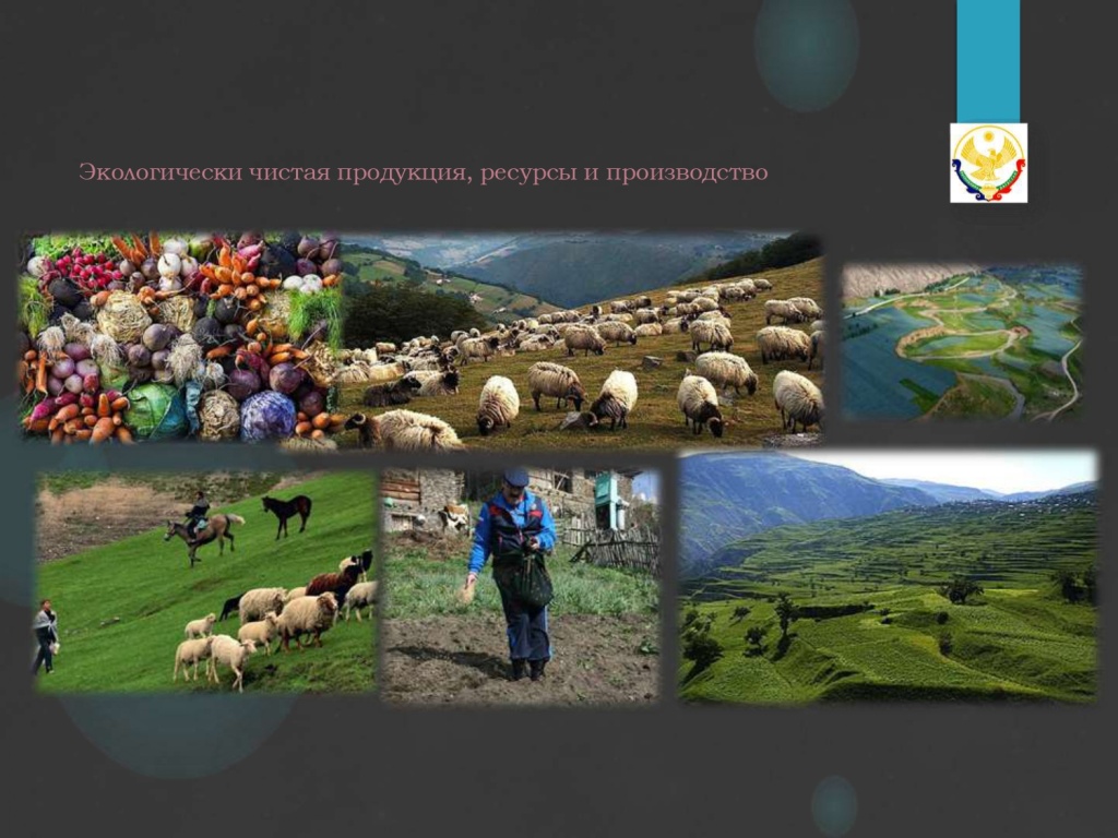 презентация новая дги (1)_page-0007.jpg презентация новая дги (1)_page-0007.jpg