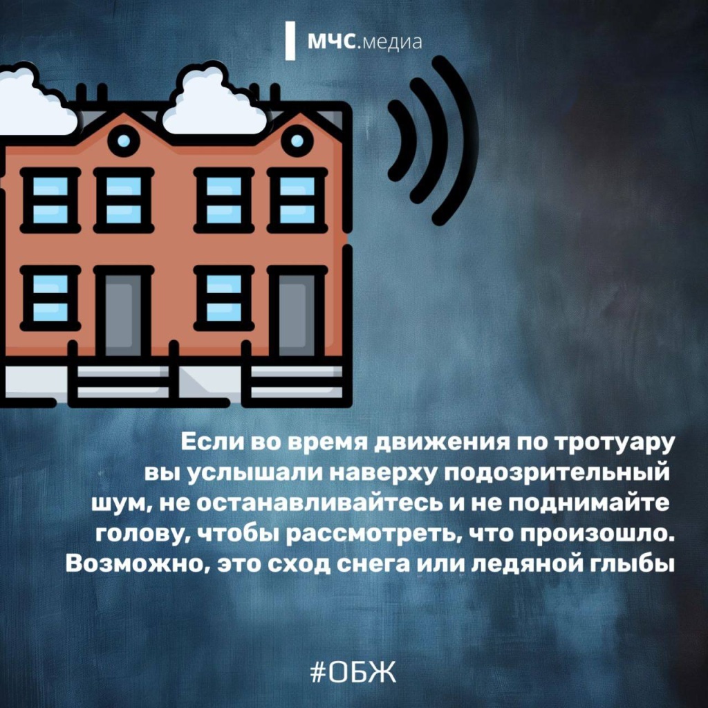 17931875-216b-4dcd-8a2b-c4038bf141f6.jpg